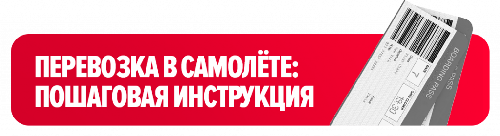 Перевозка в самолёте: пошаговая инструкция Перевозка в самолёте: пошаговая инструкция